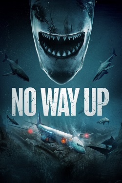 No Way Up (2024) Full Movie Dual Audio [Hindi-English] WEBRip ESubs 1080p 720p 480p Download